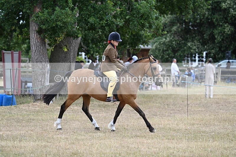 WJ7_7379 - Class 2 Best Rider