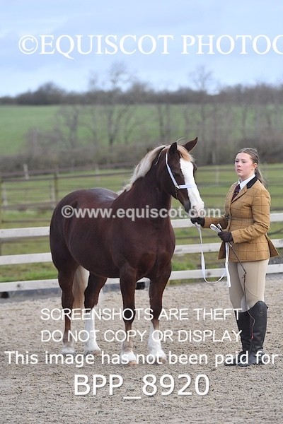 BPP_8920 - RING 2 - M&M