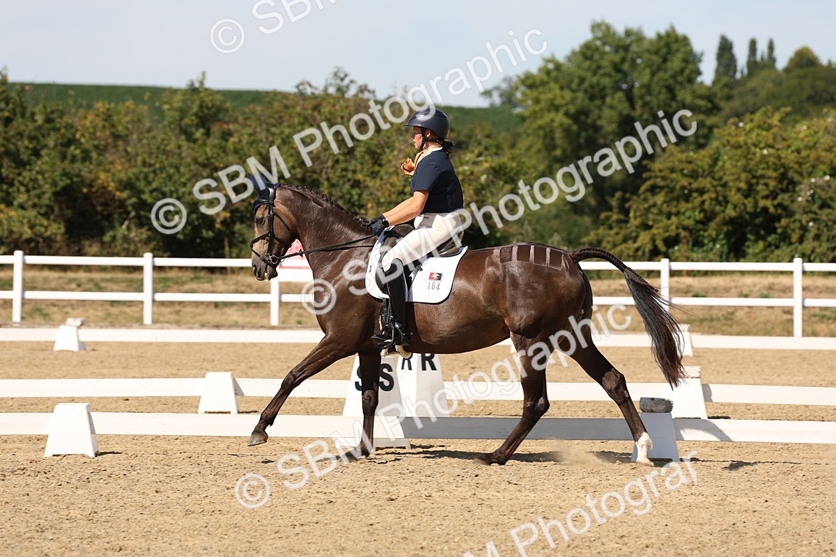 SBM_003720 - Elementary 4