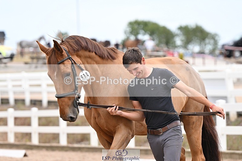 250716-155218-02251 - Trot Up 3.30 to 4.30