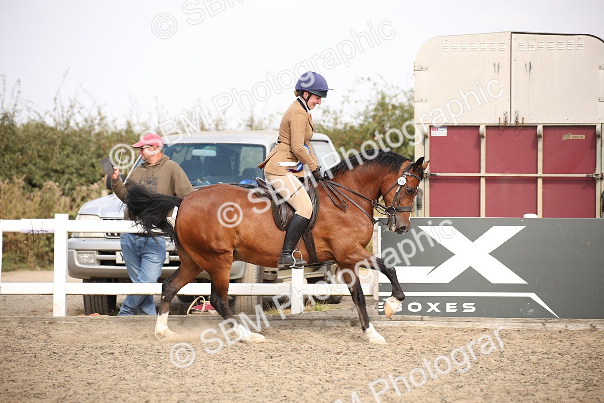 SBM_14245 - Class 407a - Working Veteran 60cm (15-19