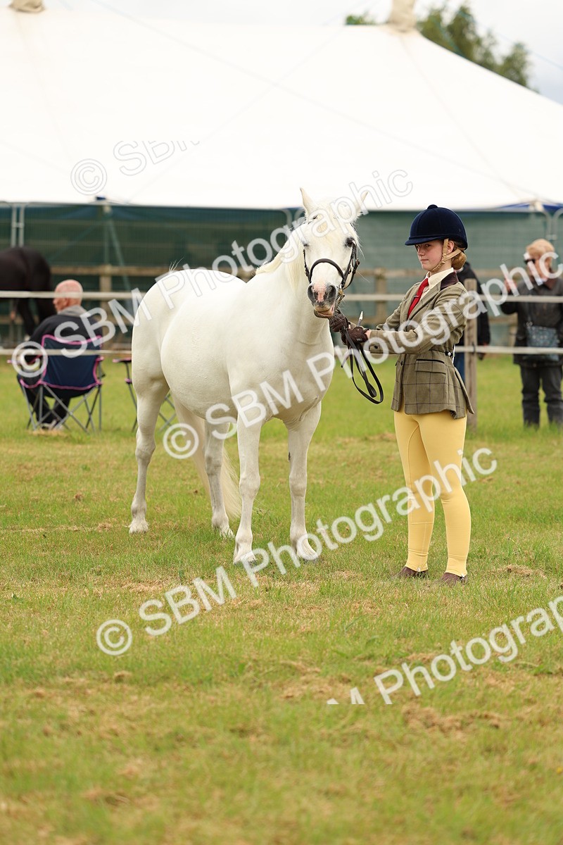 SBM_04215 - Class 64-67 - Shetland Pony In Hand