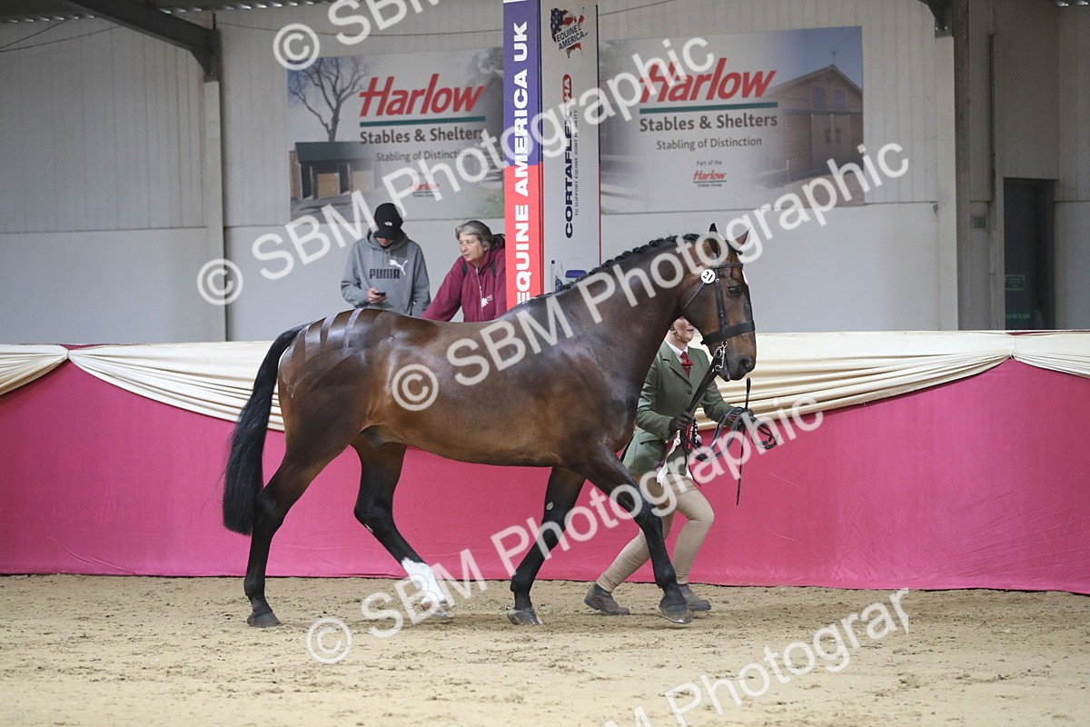 SBM_00587 - class 2a Area IH Veteran