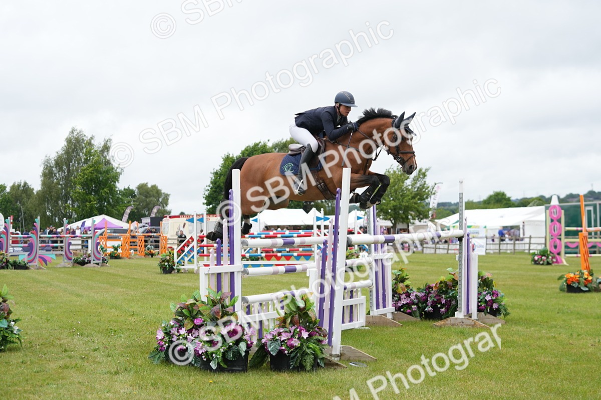 SBM_03449 - Class 201 - British Horse Feeds Speedi Beet Horse of the Year Show Grade  C