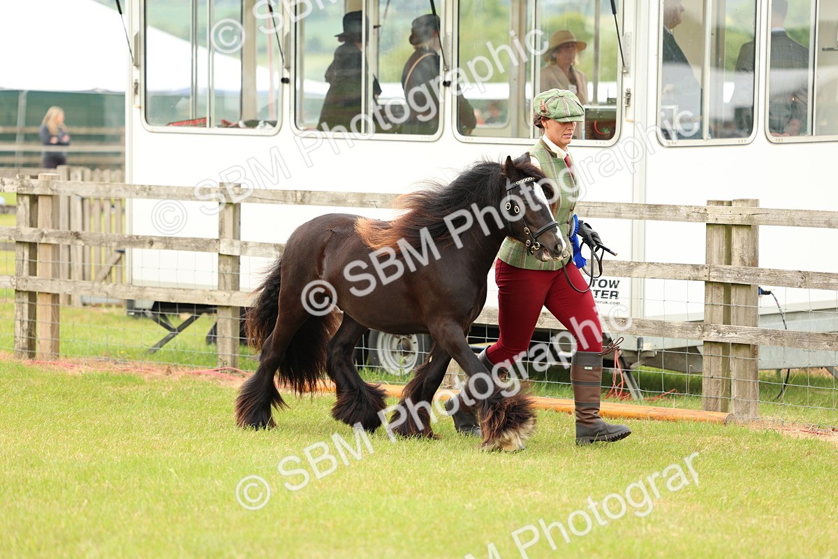 SBM_06274 - Class 39-41 TGCA In Hand and Ridden