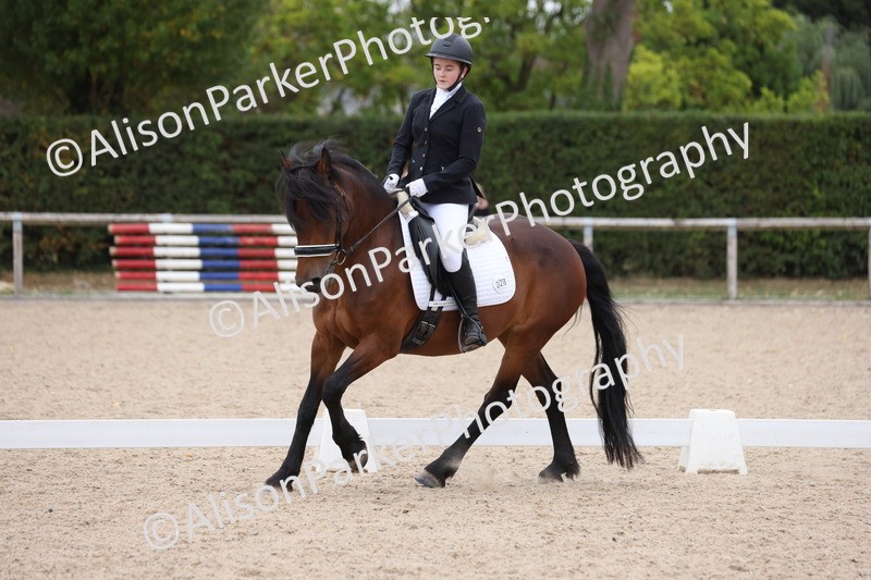 20250820-1242 - Class 18 - Elementary 5