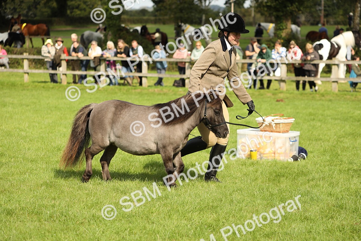 SBM_62796 - S46 - Mountain & Moorland In Hand Small Breeds