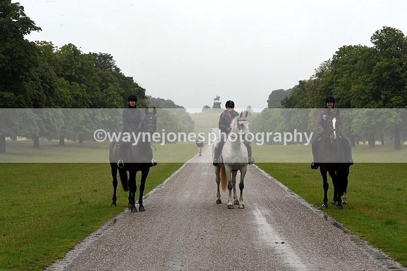 TT3_8551 - Time at Crossing 11:44 to 12:54