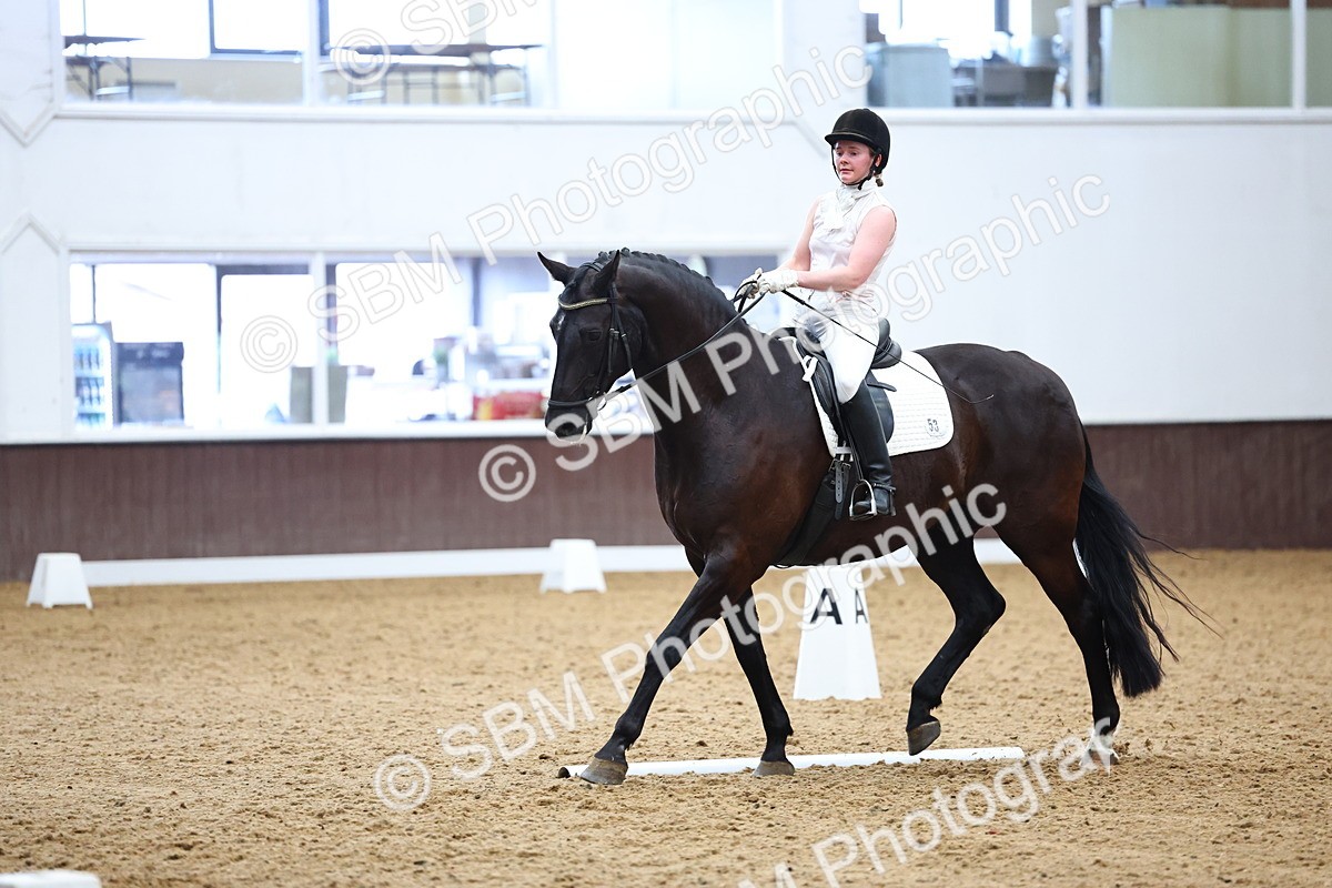 SBM_005534 - Elementary 2