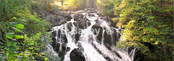 Swallow Falls,Betws-y-Coed - Waterfalls