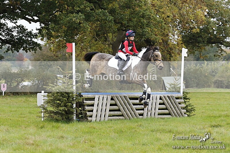 WWHT 181020 WWHT 181020 1386 - WWEC Intermediate (0.90m)  18/10/20