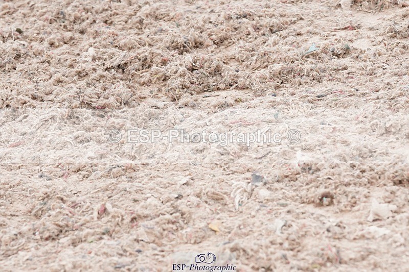 250503-104614-00529 - Cls 19+20 Club and Schools 70cm