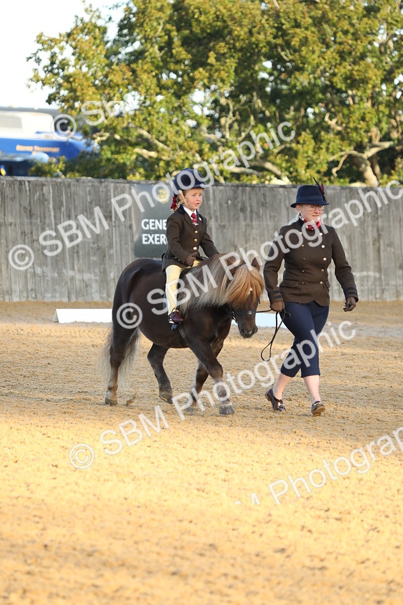 SBM_33523 - D26 - Starers - Lead Rein