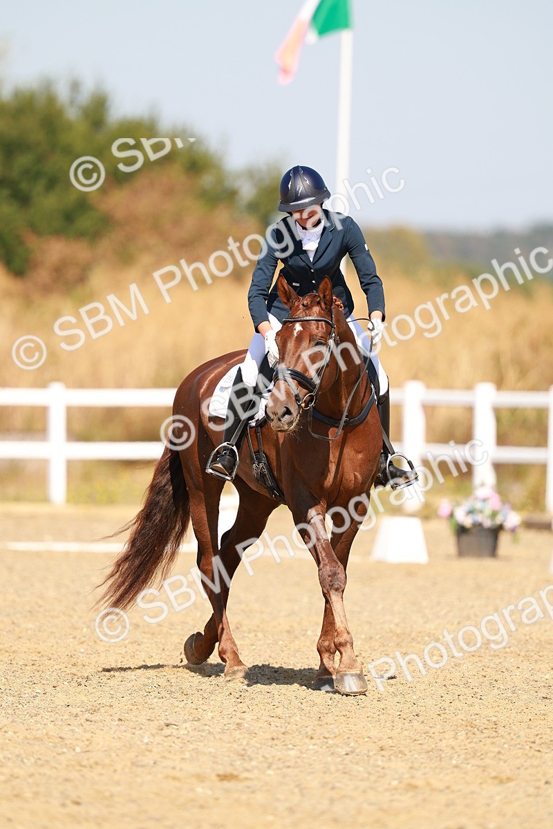 SBM_017552 - Class 9 - N5 Bronze 10.33.11.36