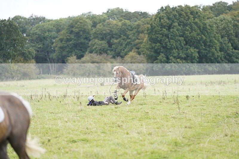_DSC7904 - Time at Photographer 11:57 to 12:36