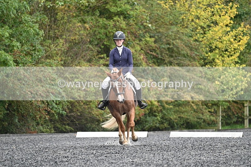 WJ7_3691 - Time 11:04 to 11:38