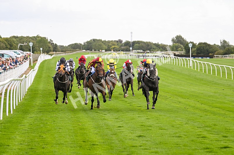 100924-Race 2-Keldeo-0005 - Race 2