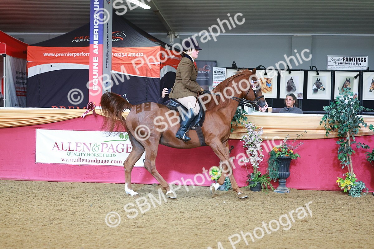 SBM_07621 - Class 101 - HOYS Veteran Qualifier - Ridden Diamond