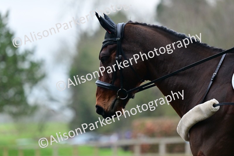 20260125-3885 - Class 12 - Novice