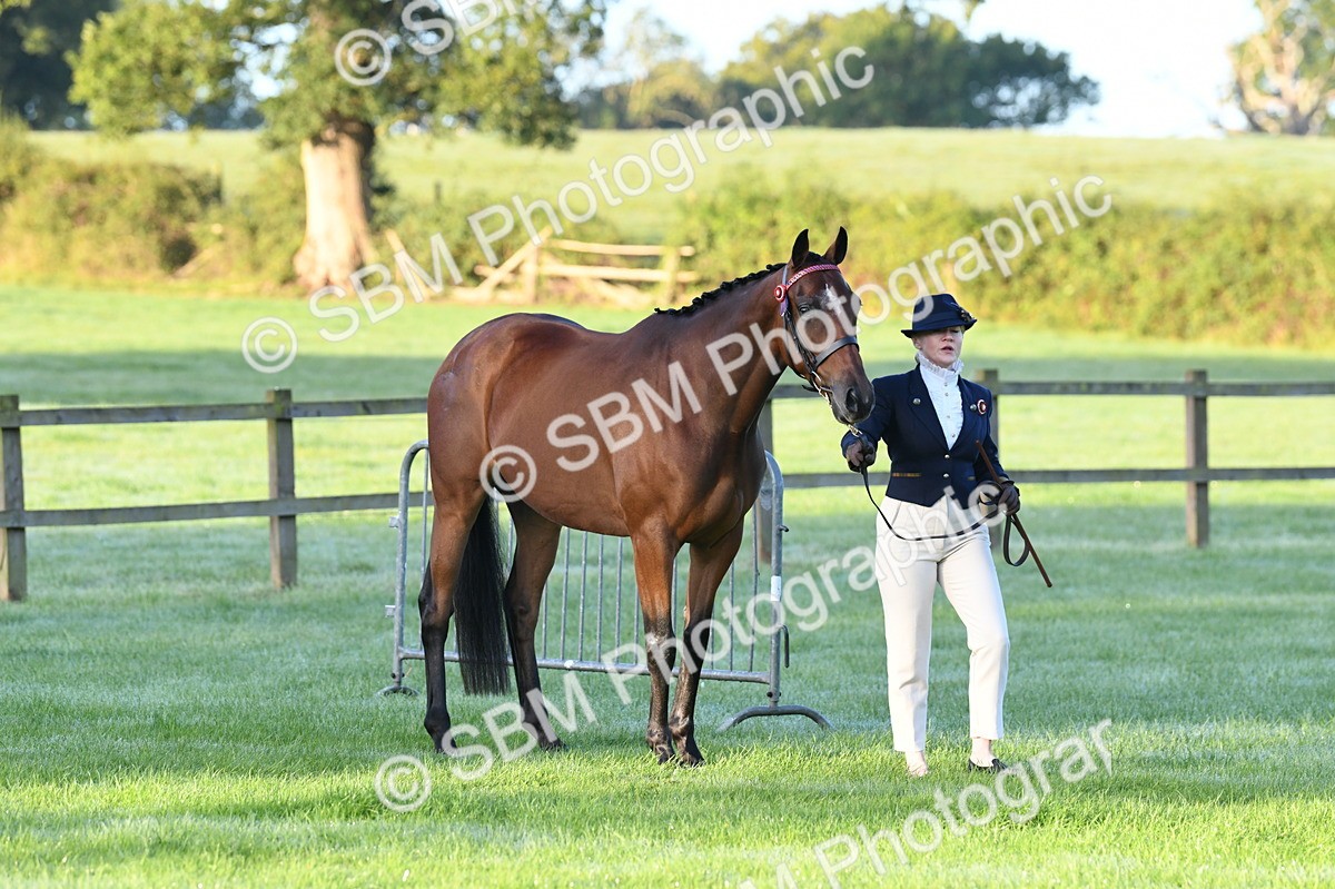 SBM_32446 - S15 - Condition & Turnout In Hand