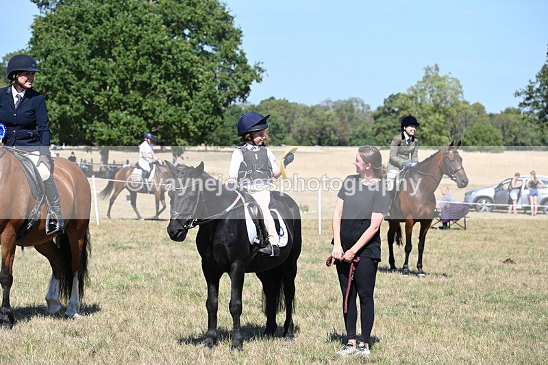 WJ6_8495 - Class 37a Best Loan Pony Ridden