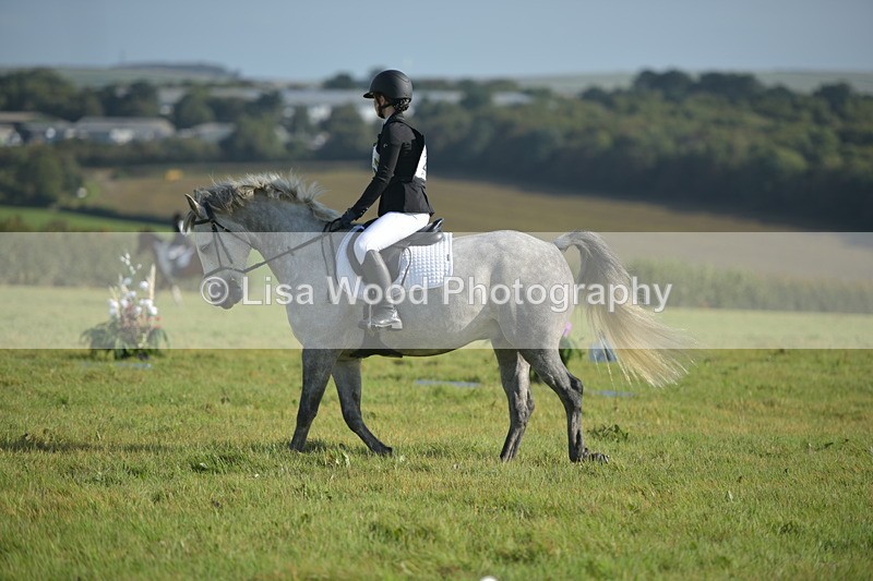 RAY_7370 - Class 2B: Trekenning Open: Dressage