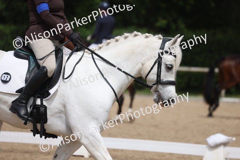 20260607-0668 - Class 3 - Novice 5