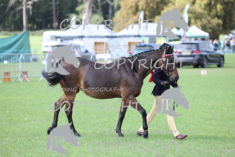 APP_2555 - Class 9 Veterans in hand