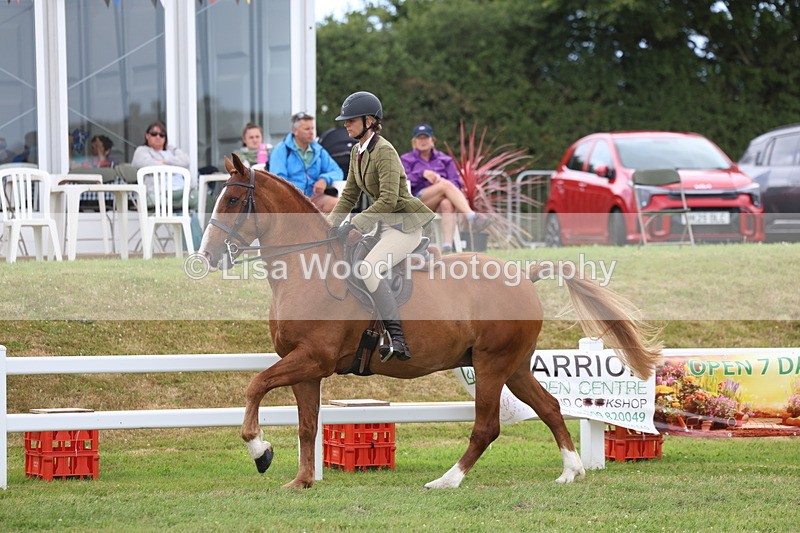 3E7A1470 - Class 9: Open Hunter