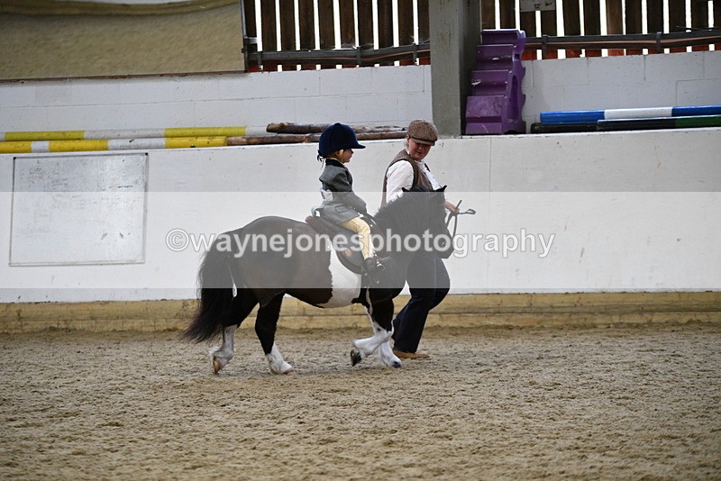 WJ5_6644 - Class 10 Childs Pony
