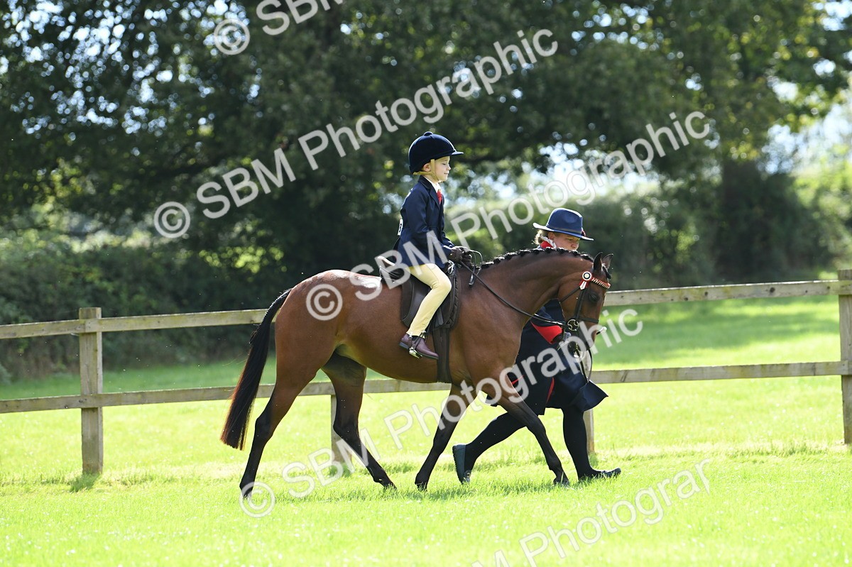 SBM_41168 - S19 - Lead Rein Show & Show Hunter Pony