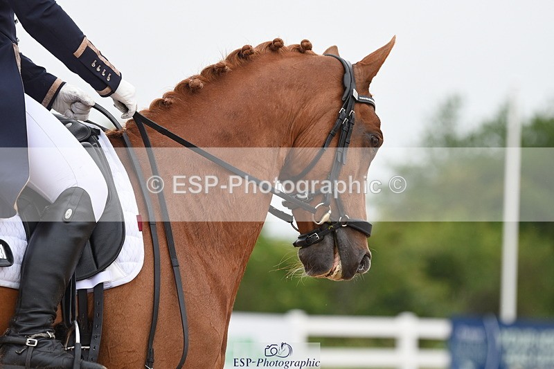 230630A-140504-02095 - Cls 17 FEI PSG