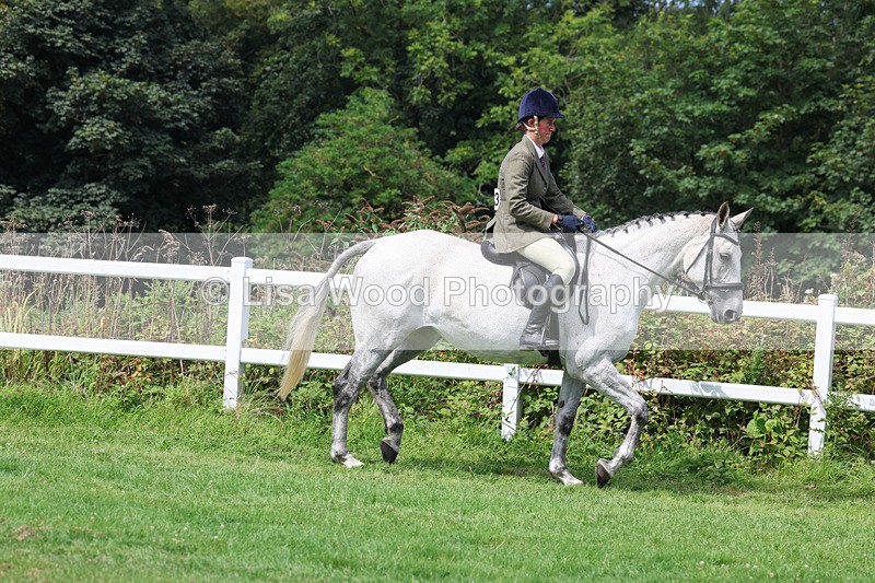 3E7A8643 - Class 5: Working Show Horse