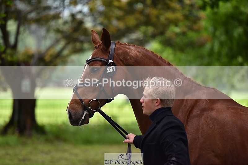 240522-163924-01070 - 265-GREANNANSTOWN_MONBEG_JOE-Finn_Healy