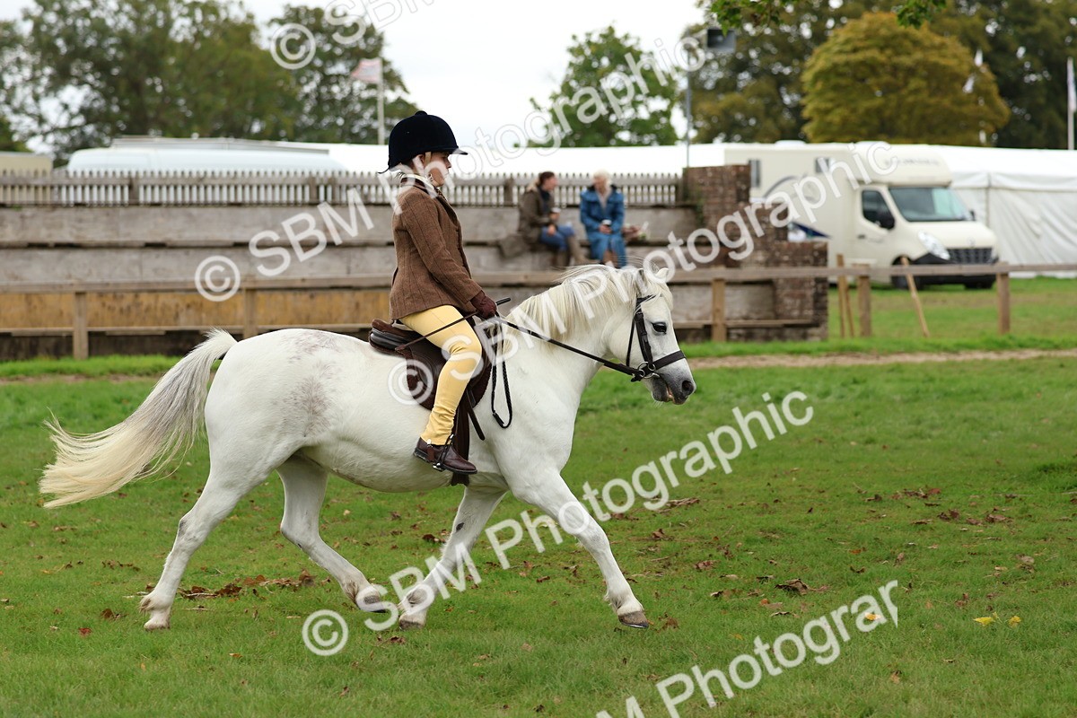 SBM_67439 - S61 - Mountain & Moorland Ridden