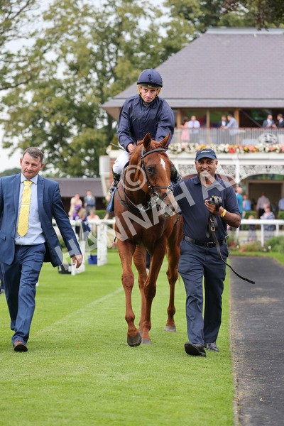 yr20082021r7-37 - Race 7 5.10pm Sky Bet Mile