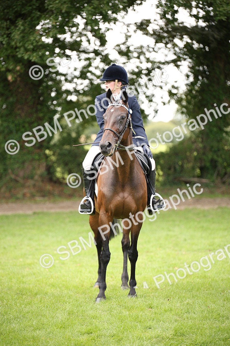 SBM_65953 - S64 - Riding Horse & Hack & Thoroughbred Ridden