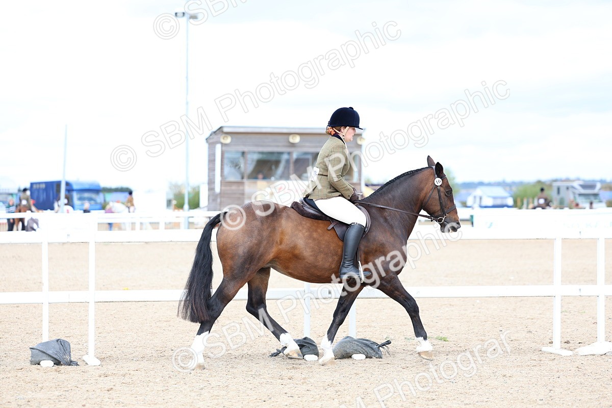 SBM_15757 - Class 314 - Family Horse - Pony