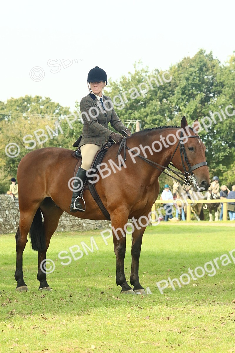 SBM_66769 - S34 - Rehabilitated Rescue Horse & Pony In Hand & Ridden