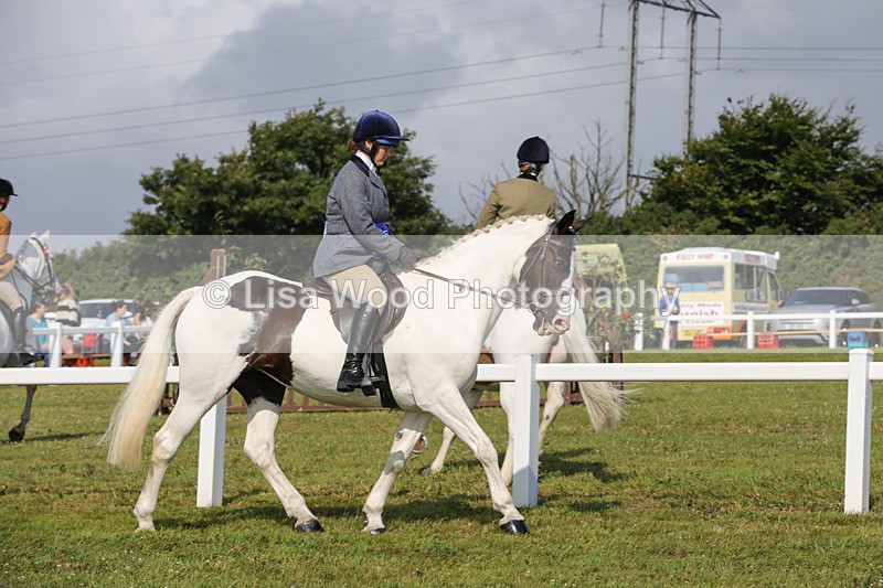 1X9A3450 - Skewbald and Piebald Ridden Championship