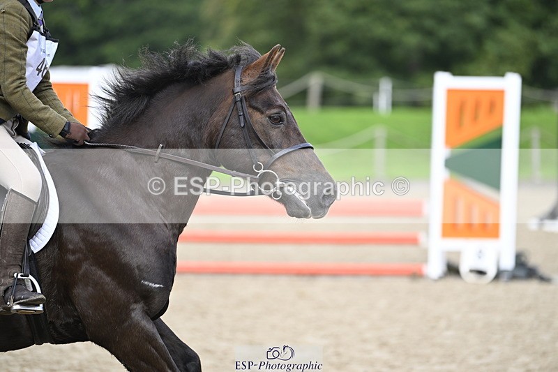 251005A-102820-03312 - Cls 04 GR 70cm