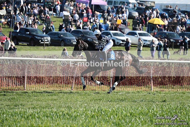 PtP 210326 306 - VWH Cirencester Races 21/03/26