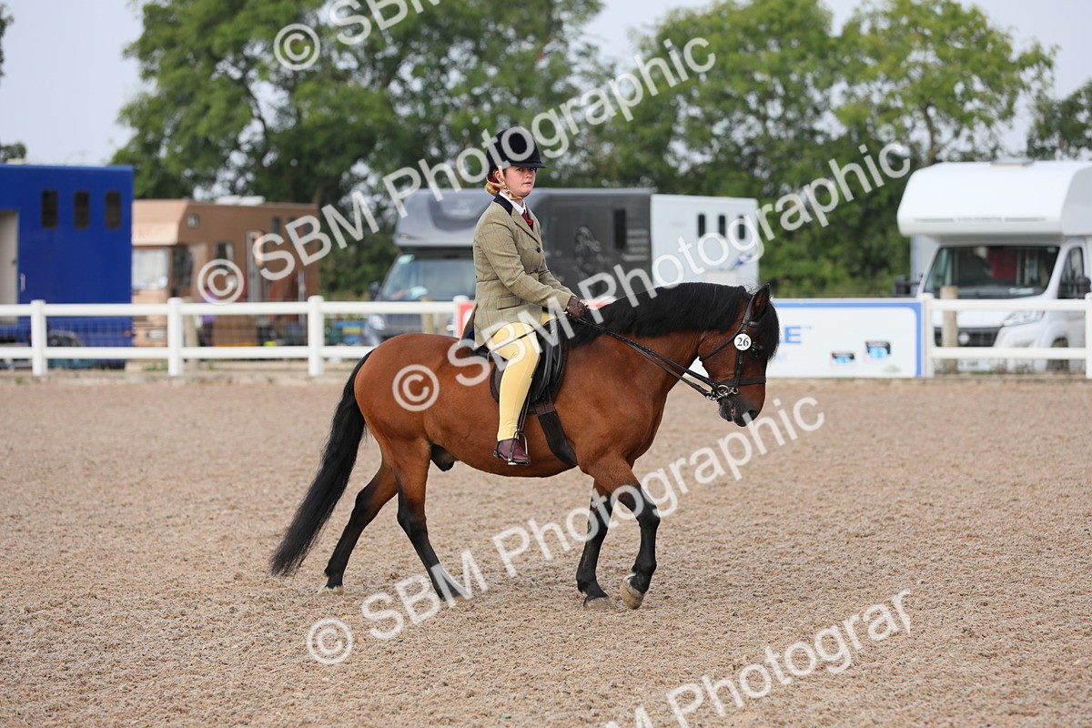 SBM_09606 - Class 301 Ridden M&M -Small Breeds