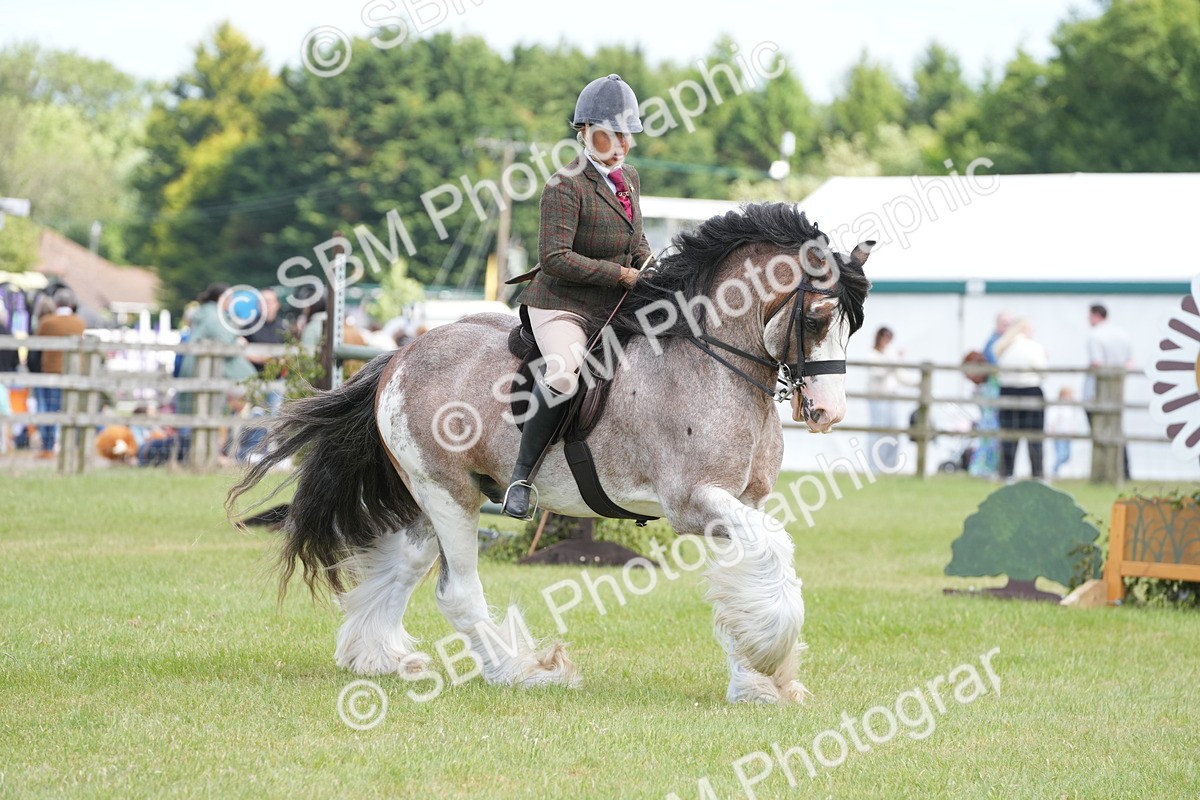 SBM_17206 - Class 107-108 - LIHS BSPS Performance Coloured Horse Pony