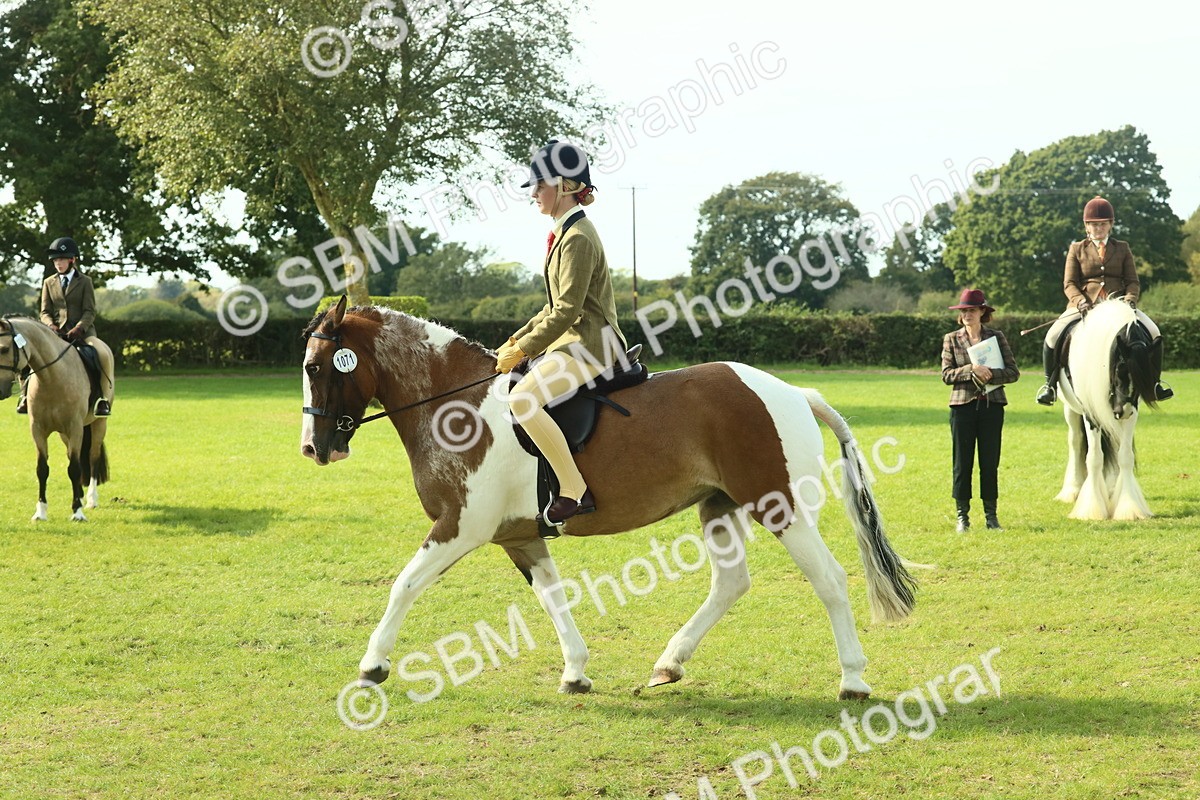 SBM_67647 - S56 - Coloured Pony Ridden