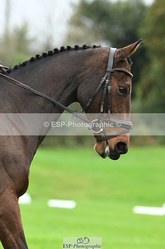 241024-110740-03150 - 504-Harry.Robinson-WHAT.A.WONDER