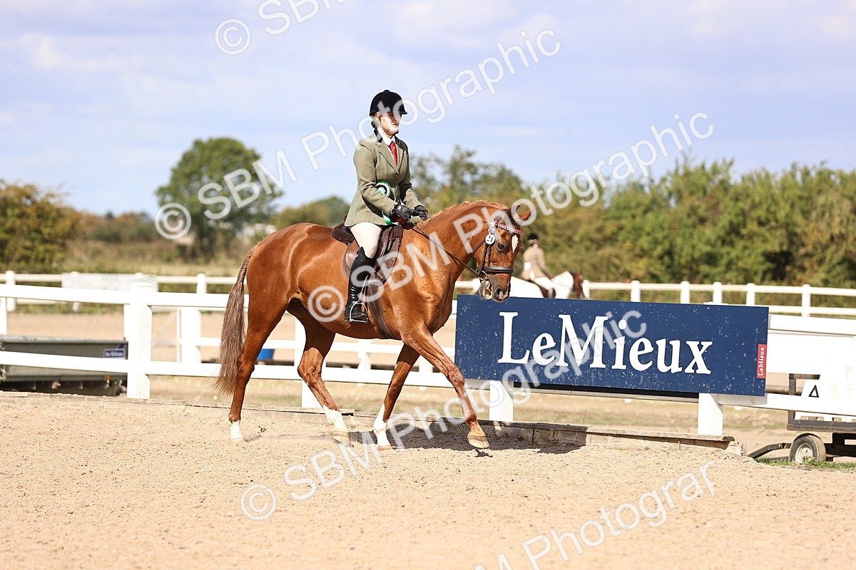 SBM_14338 - Class 411 - Prettiest Mare (IH OR Ridden) Adult