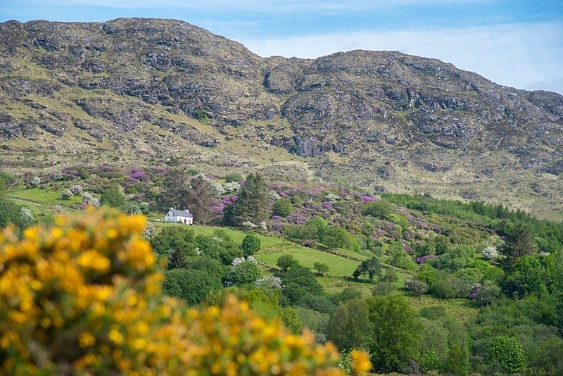 MF1_4565 - Donegal Town & Lough Eske