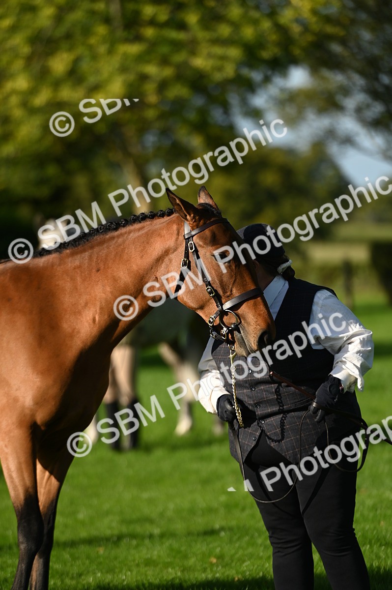 SBM_14780 - S1 - TSR in Hand Horse & Pony Showing