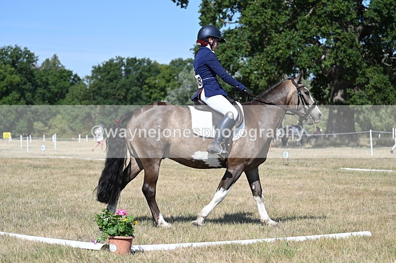 WJ7_0135 - Time 11:03 to 11:28